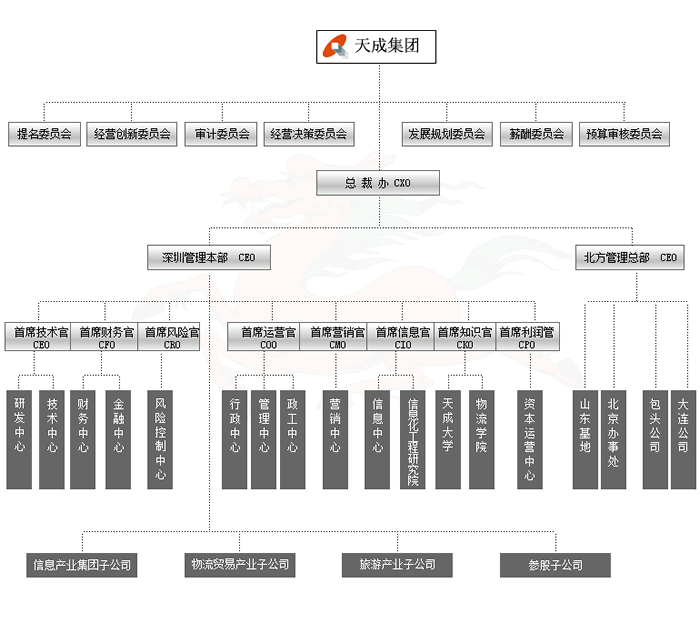 天成组织架构
