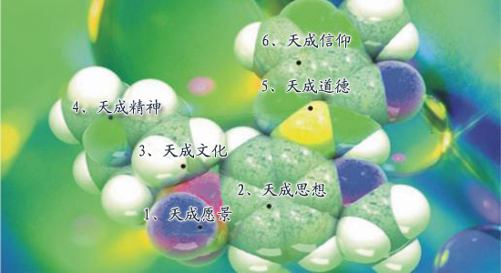天成基因 拷贝