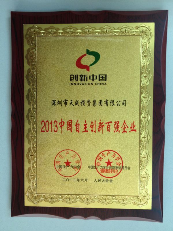 2013中国自主创新百强企业