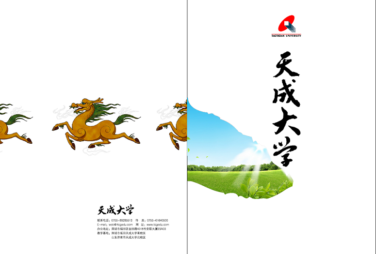 天成大学画册