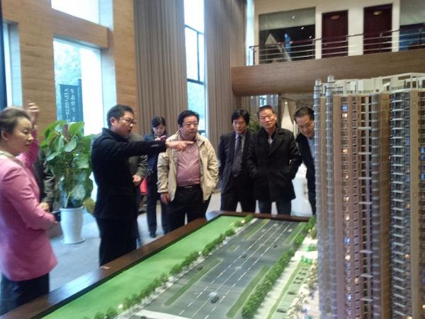 孙明高博士实地参观和考察京九别墅度假村1