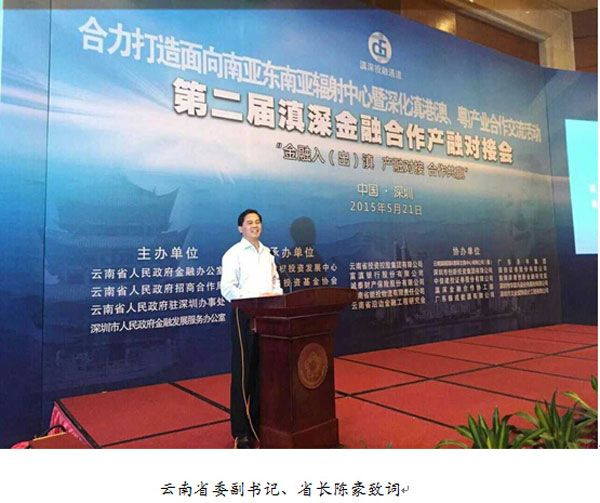 云南省委副书记、省长陈豪致辞