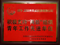 市民营团工委表彰天成公司团委一批“两新”领域团建先进单位和个人
